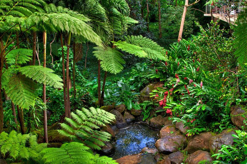 Not Respecting Natural Areas And Wildlife