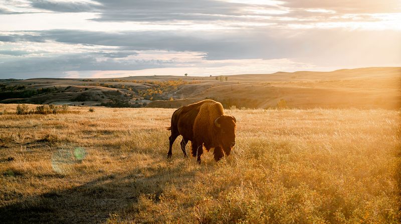 North Dakota – Theodore Roosevelt National Park