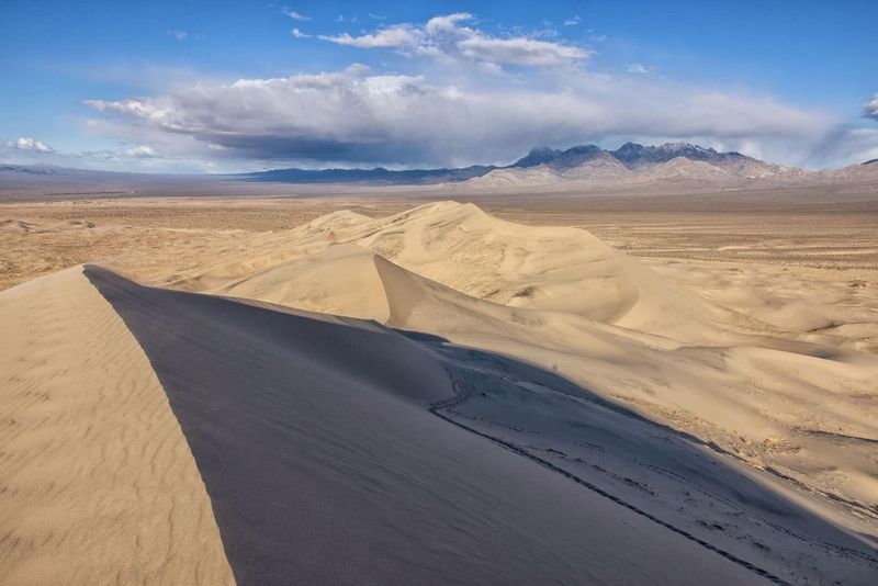 Better Choice: Explore The Mojave National Preserve