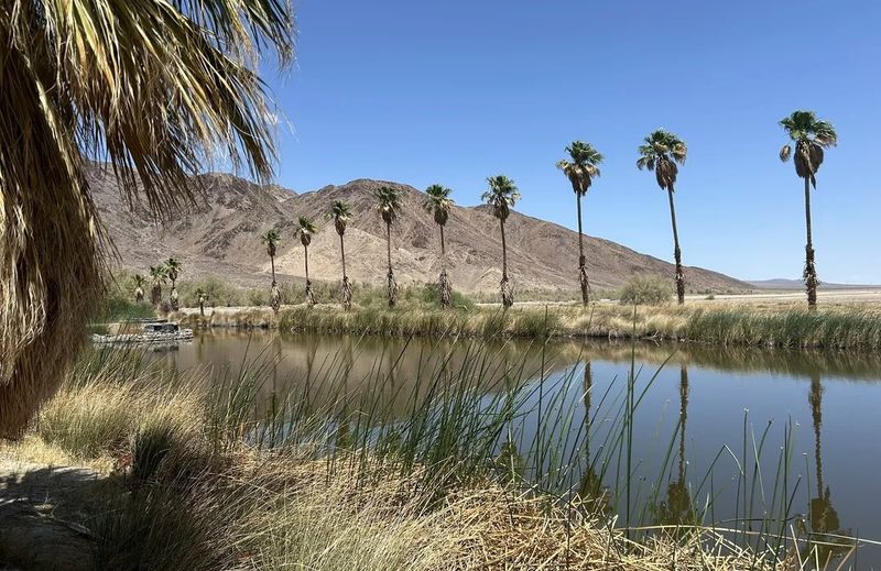 Better Choice: Hike The Salt Creek Hills ACEC