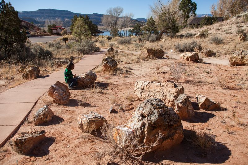 Escalante Petrified Forest State Park