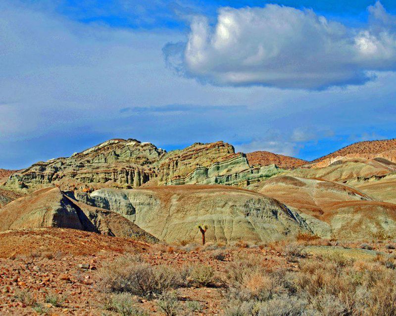 Rainbow Basin Natural Area