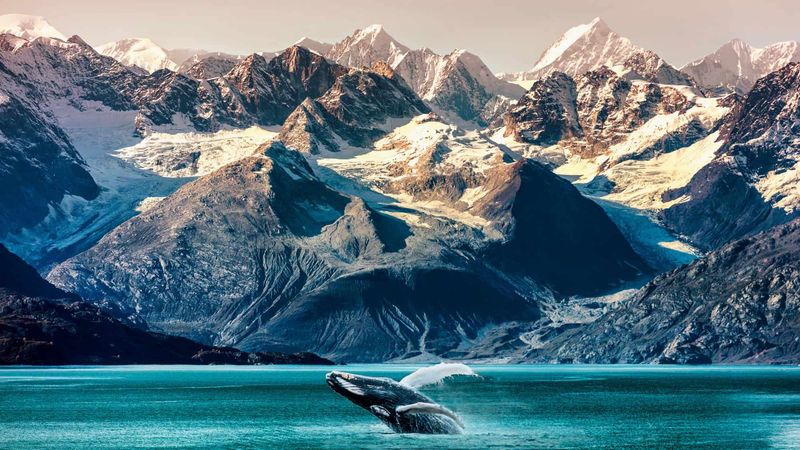 Alaska - Last Frontier Adventure
