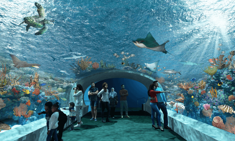 Shedd Aquarium, Chicago, IL
