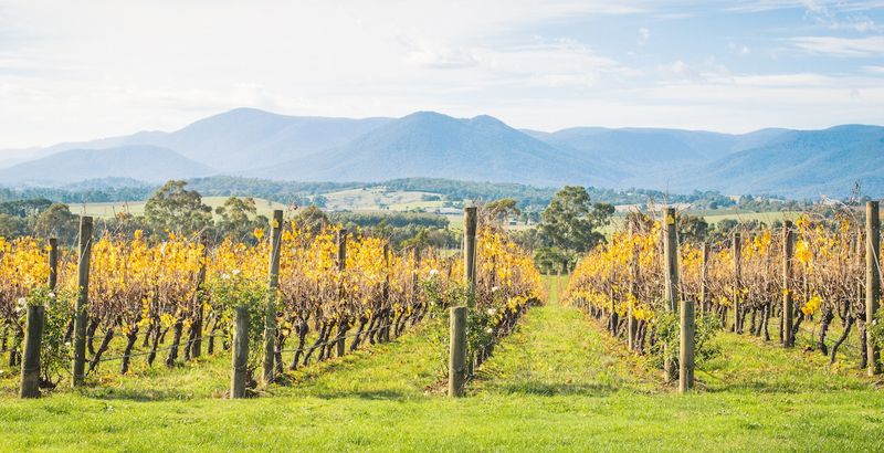 Yarra Valley, Australia