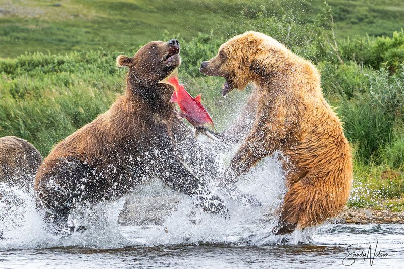 Kodiak Island, Alaska