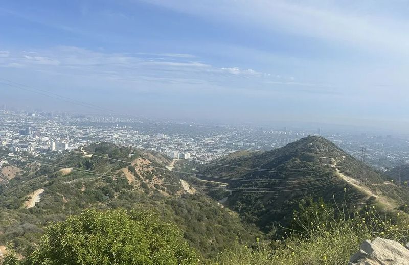 Runyon Canyon (California)