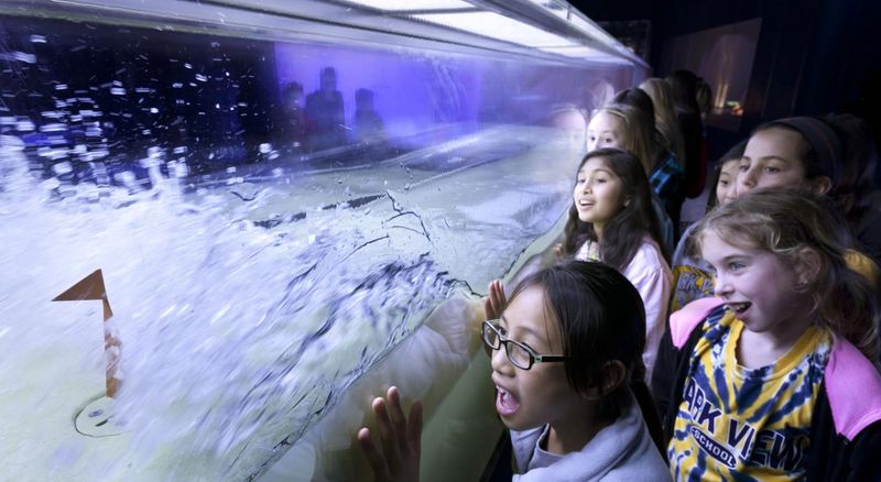 Museum of Science and Industry, Chicago, Illinois