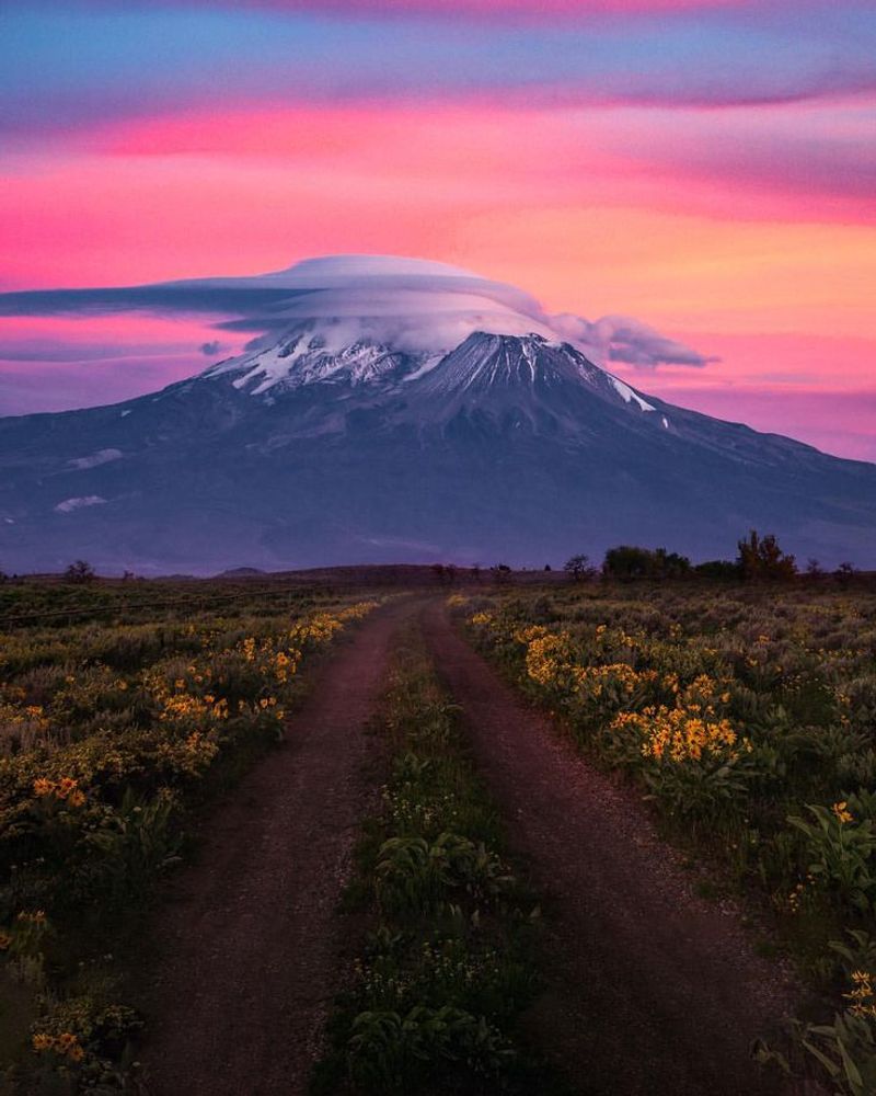 Mount Shasta