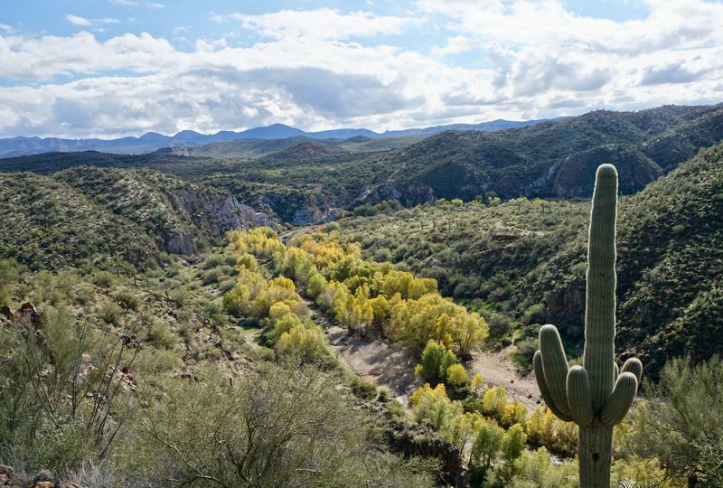 Underestimating Elevation And Weather Shifts