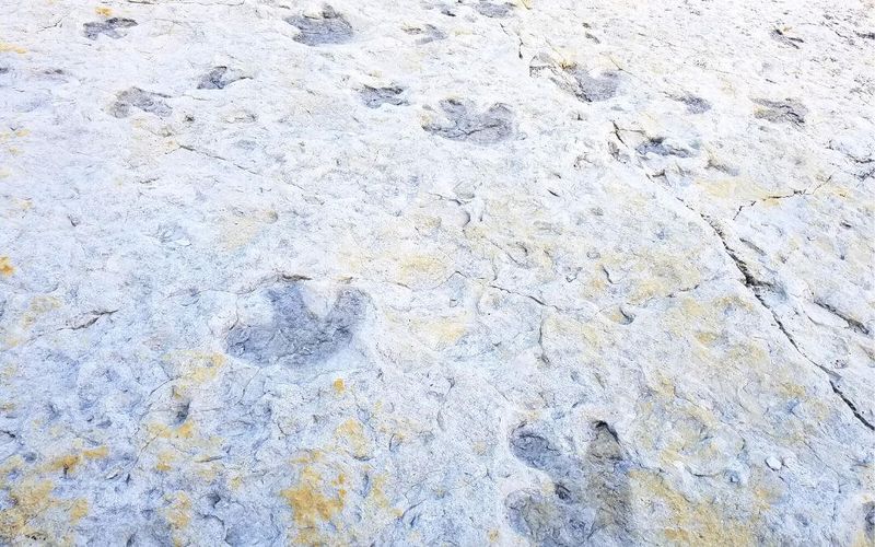 Dinosaur Ridge – Morrison, Colorado