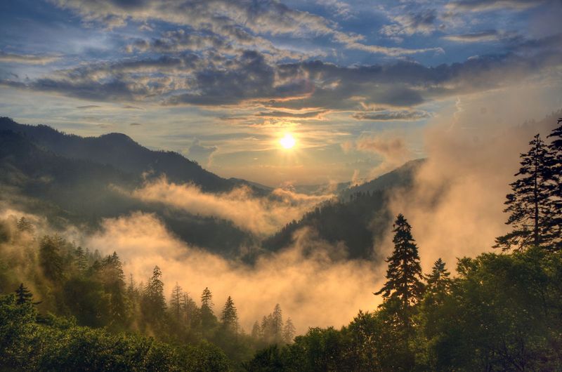 Explore Great Smoky Mountains National Park