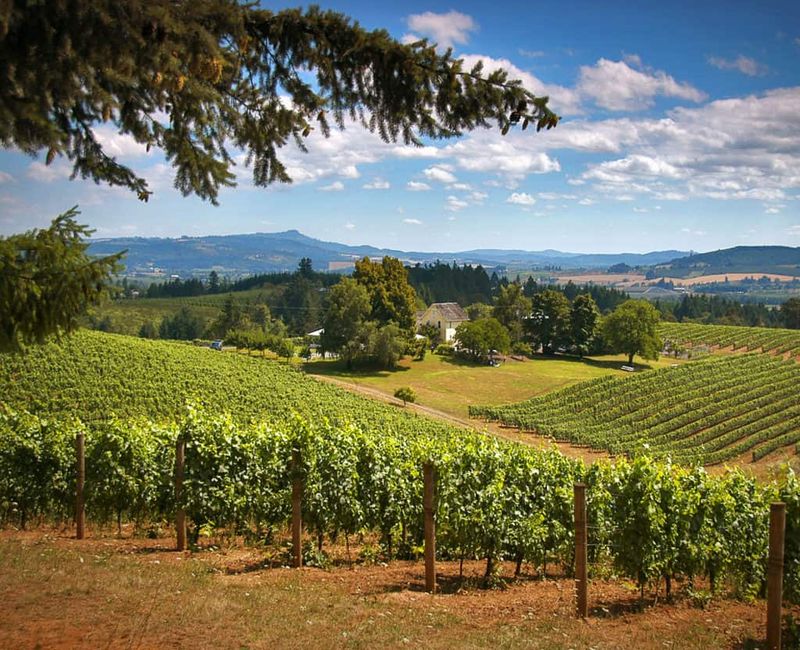 Oregon's Willamette Valley Romance