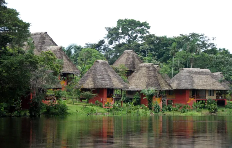 Amazon Rainforest: Yasuni National Park