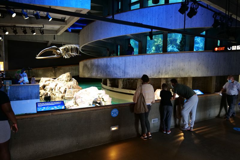 New England Aquarium, Boston, MA