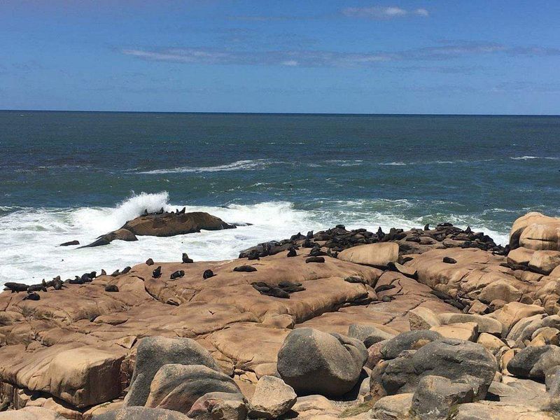 Cabo Polonio, Uruguay