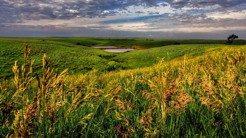 Kansas
