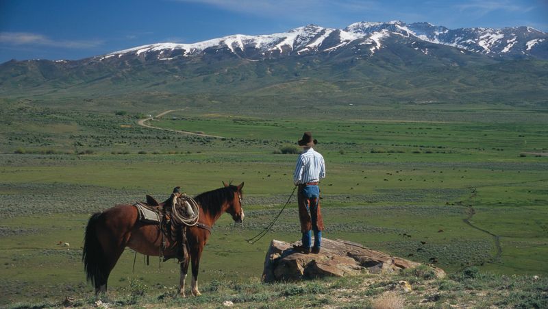 Nevada