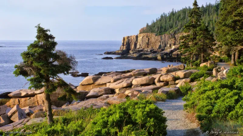 Acadia National Park's Ocean Path