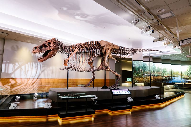 The Field Museum, Chicago, Illinois