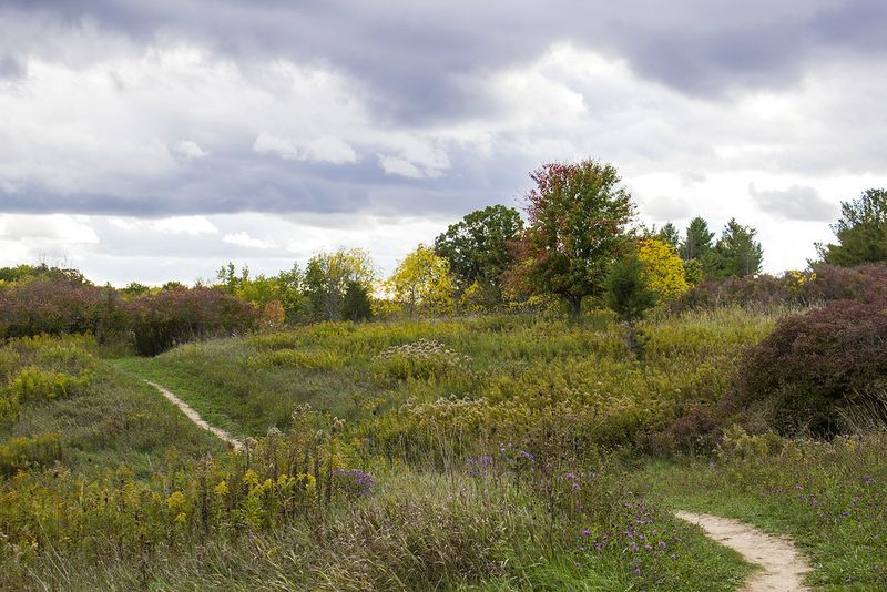 Reservoir State Park's Elevated Meadows
