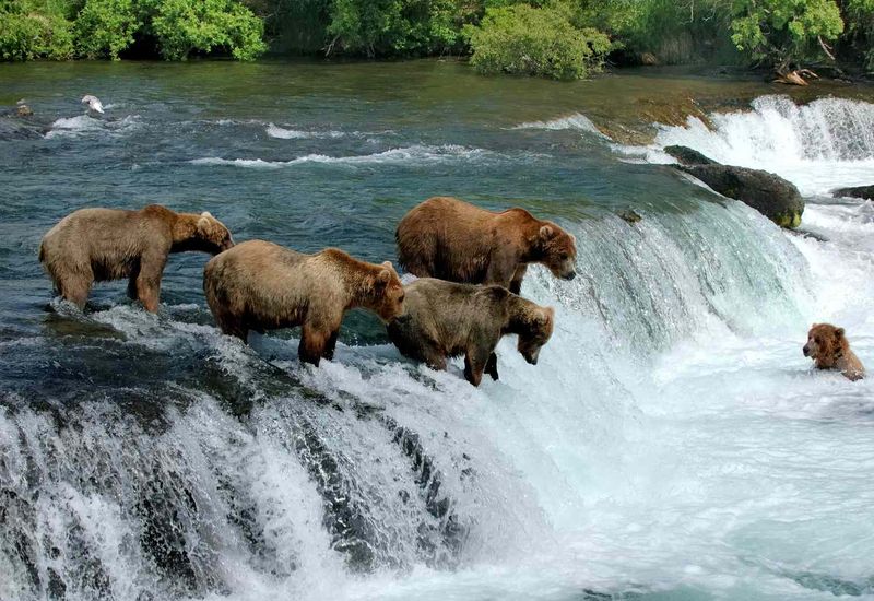 Katmai National Park