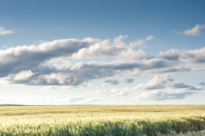 Nebraska's Forgettable Plains