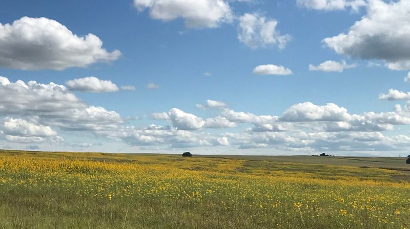 Nebraska