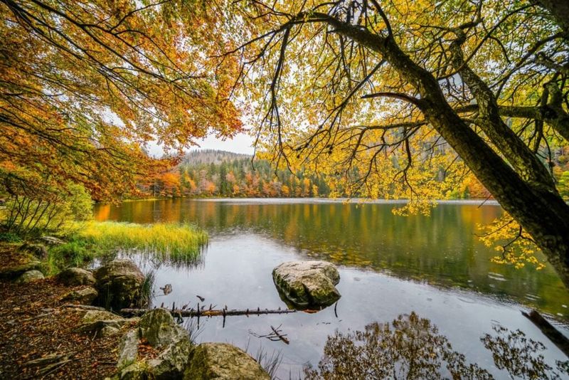 Black Forest, Germany