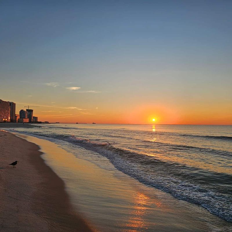 Skipping sunrise walks