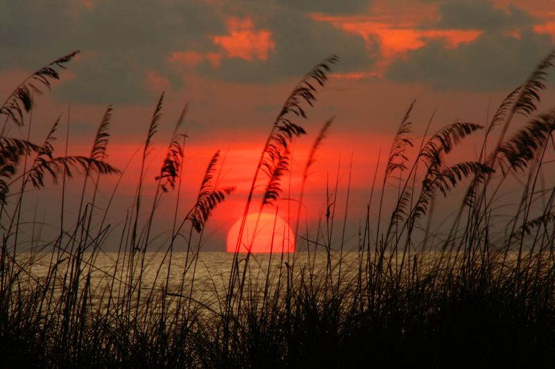 Pass-A-Grille, Florida