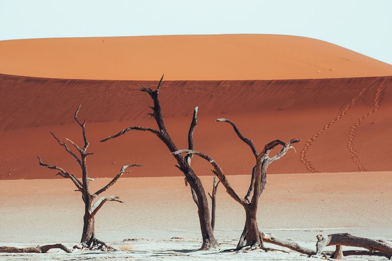 Namib Desert: Ancient Sands of Time