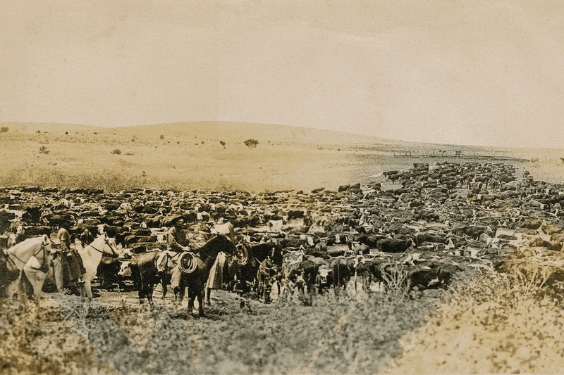 Kansas