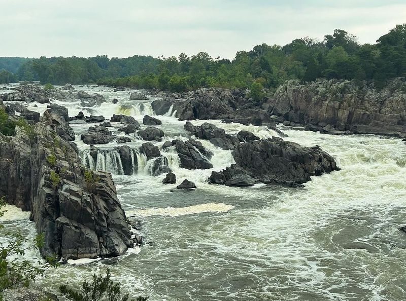 Natural Wonder At Great Falls Park