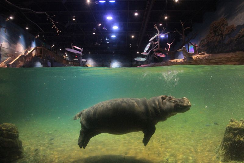 Adventure Aquarium - Camden, New Jersey