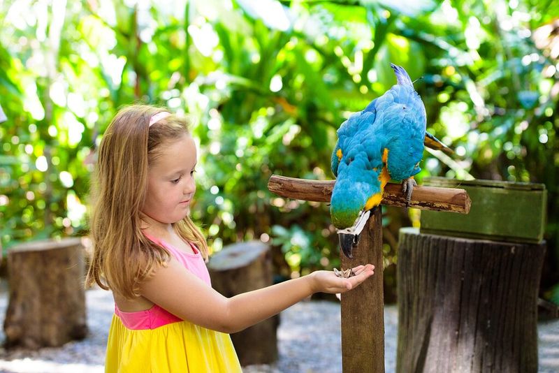 Costa Rica's Natural Playground