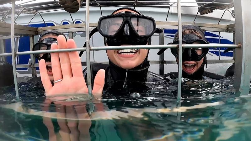 Cage Diving with Great White Sharks in South Africa