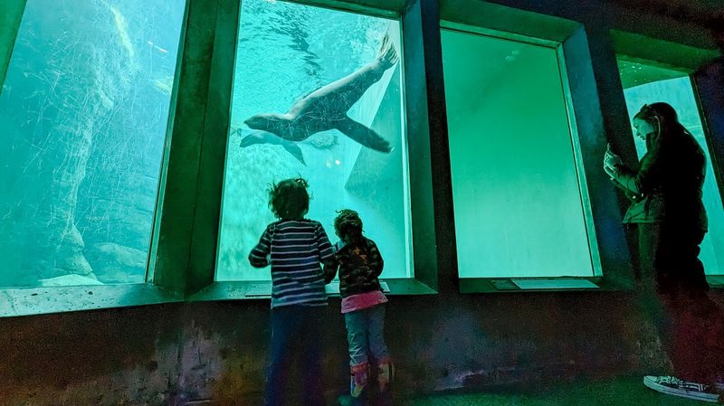 The Seattle Aquarium During Peak Hours