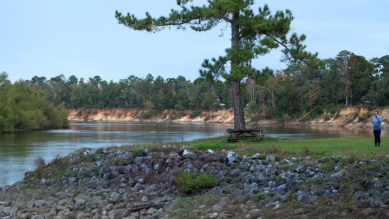 Apalachicola River Wildlife and Environmental Area