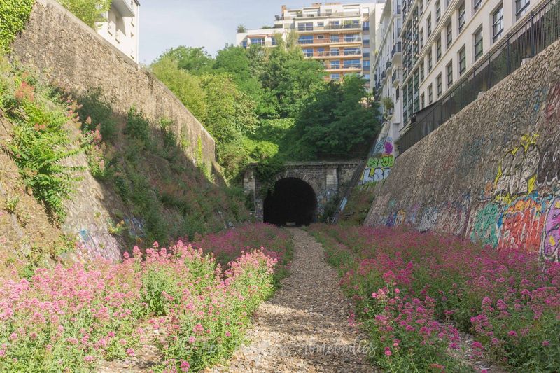 La Petite Ceinture