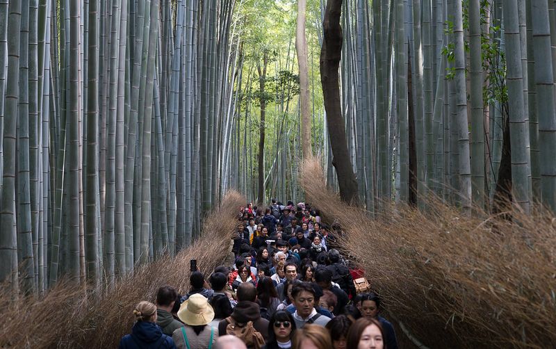Arashiyama Bamboo Grove in Kyoto