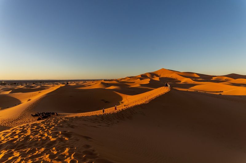 Sahara Desert's Golden Dunes Speak To The Soul