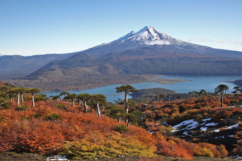 Conguillío National Park, Chile