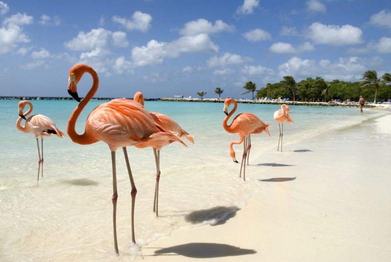 Playa Flamenco, Cayo Coco
