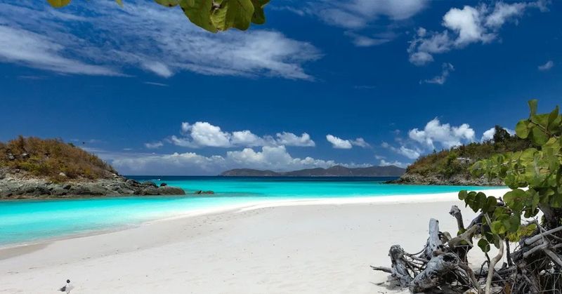 Trunk Bay, U.S. Virgin Islands