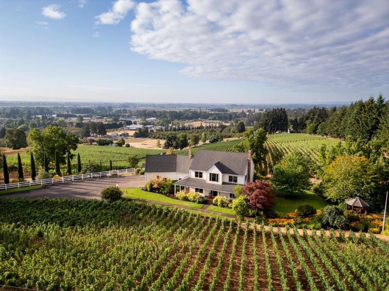 Oregon's Willamette Valley