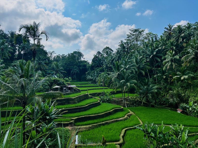 Bali, Indonesia (Away From Resorts)