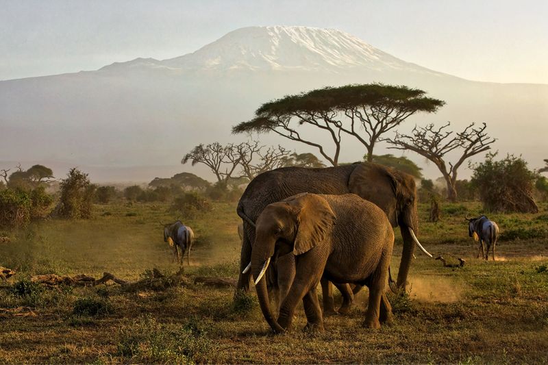 Kenya: Safari Luxury that Protects Wildlife Corridors