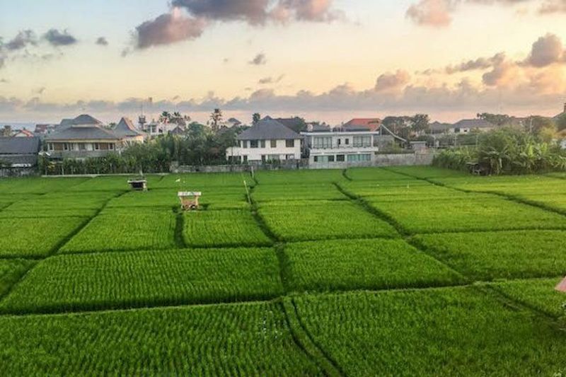 Canggu: Bali's Digital Nomad Paradise