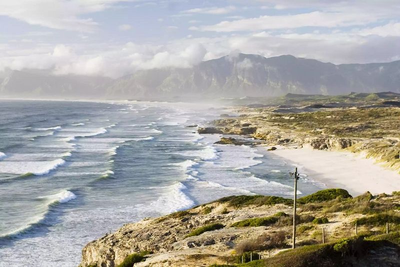 Gansbaai, South Africa